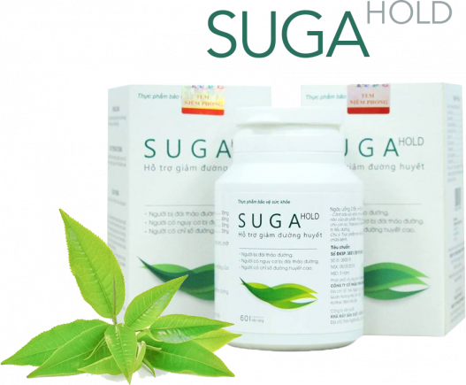 SUGA HOLD - Hỗ trợ giảm đường huyết, Đẩy Lùi Biến Chứng Đái Tháo Đường
